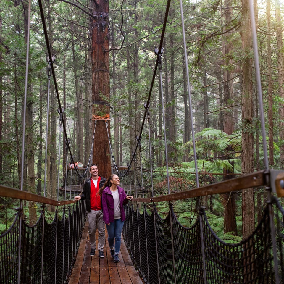 Photo credit (Fraser Clements). Location displayed (Redwoods Forest, Rotorua). 