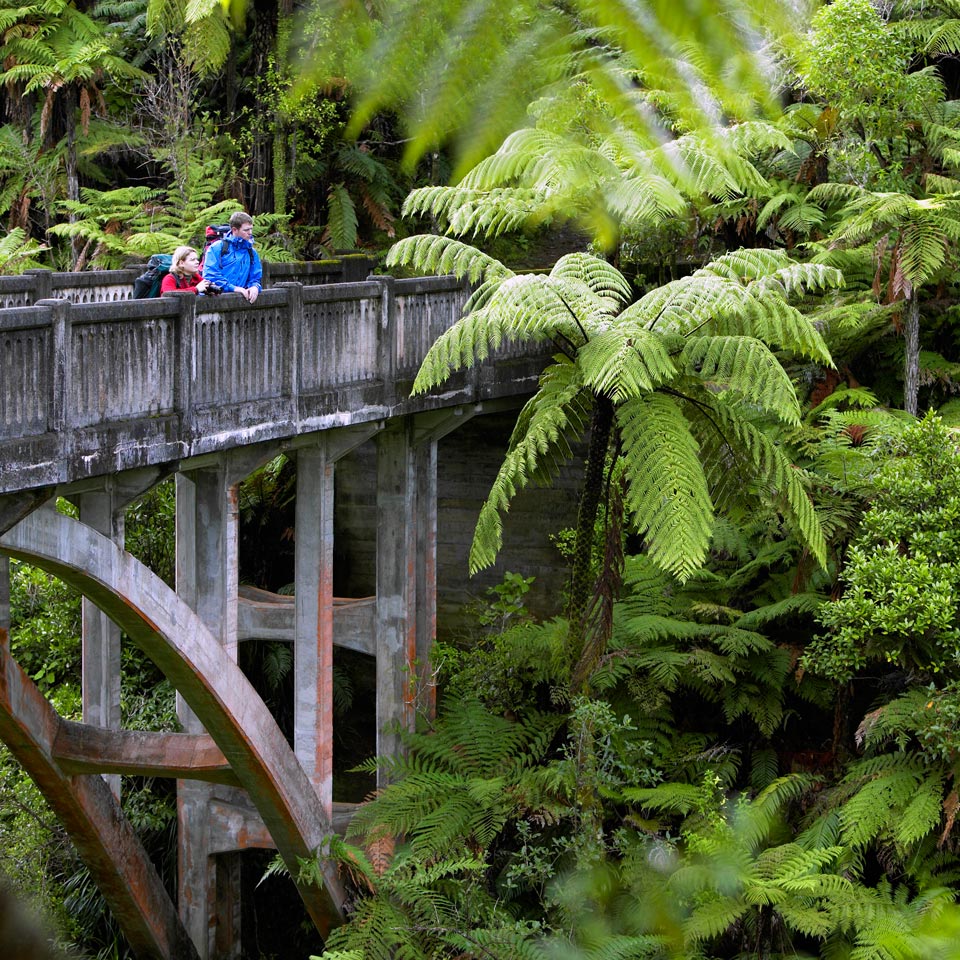 Photo credit (Chris McLennan). Location displayed (Whanganui National Park). 