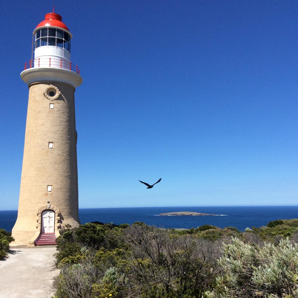 Location displayed (Kangaroo Island Lighthouse). 