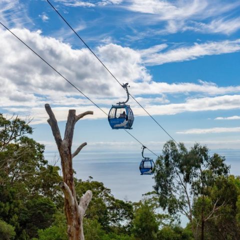 Eagle Gondola on the Mornington Peninsula, Victoria
